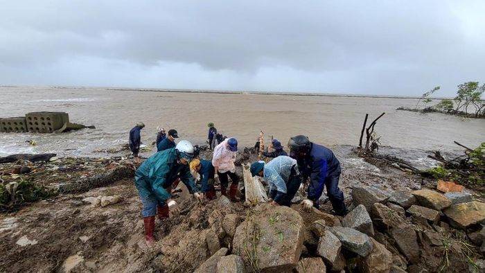 UBND tỉnh Cà Mau ban hành Quyết định công bố tình huống khẩn cấp về thiên tai đối với sạt lở đê biển Tây