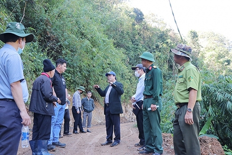 Lâm Đồng đề xuất Chính phủ chuyển 7,6ha rừng tự nhiên để làm đường Trường Sơn Đông