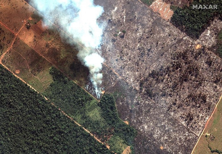 Giật mình trước mức độ cháy rừng ở Amazon - lá phổi của hành tinh