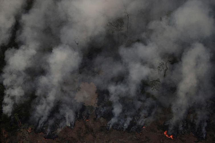Giật mình trước mức độ cháy rừng ở Amazon - lá phổi của hành tinh
