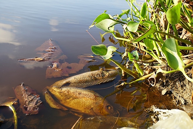 Nước sông ô nhiễm, hơn 4.000 hộ dân ở Hà Tĩnh thiếu nước sạch