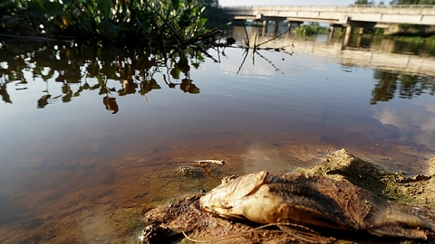 Nước sông ô nhiễm, hơn 4.000 hộ dân ở Hà Tĩnh thiếu nước sạch