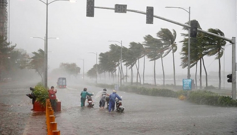 Mật độ bão hoạt động trên Biển Đông ít hơn nhiều năm