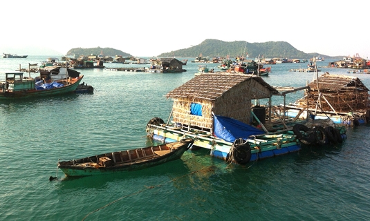 Cá nuôi lồng chết hàng loạt tại huyện đảo Kiên Hải