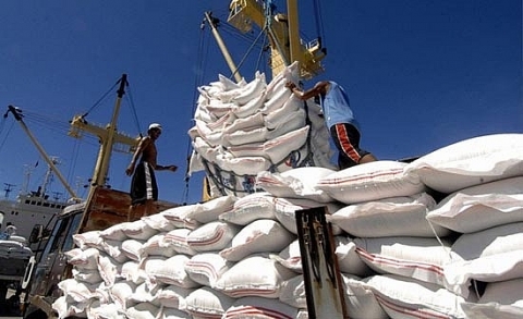 Giá gạo xuất khẩu của Việt Nam tăng kỷ lục