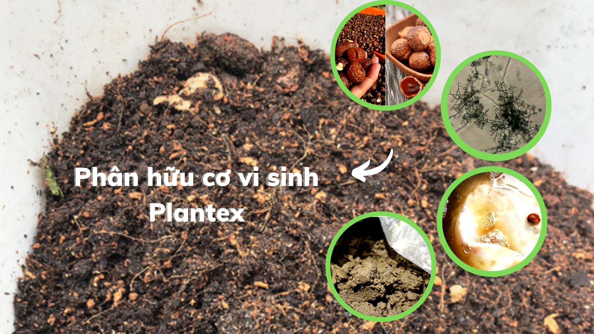 Sản phẩm phân hữu cơ vi sinh Plantex