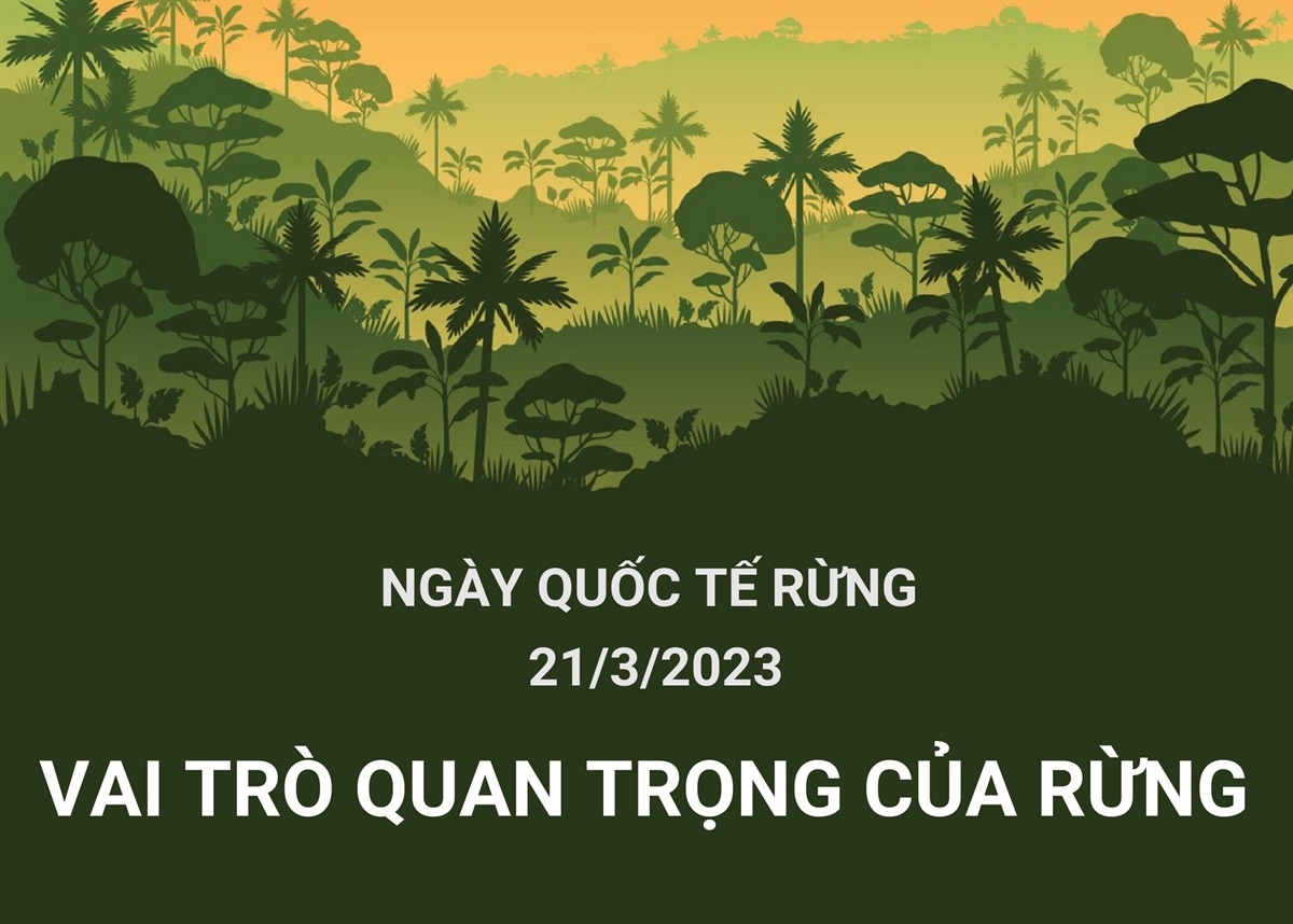 Ngày 21 tháng 3: Ngày rừng thế giới