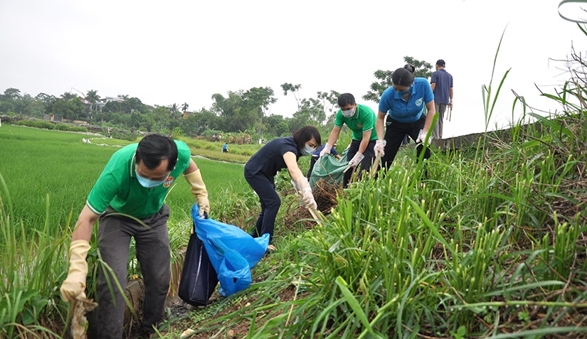 Thực trạng và giải pháp tăng cường công tác thu gom, vận chuyển, xử lý chất thải rắn sinh hoạt tại khu vực nông thôn