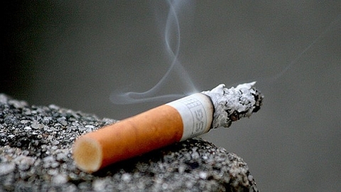 Tái chế đầu lọc thuốc lá, giải pháp hạn chế ảnh hưởng đến môi trường