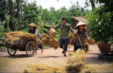 Làng quê Việt Nam trong ký ức những người thành thị