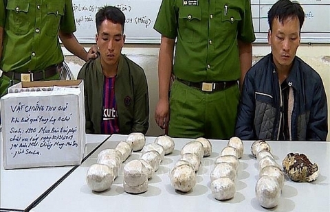 Sơn La: Hai thanh niên vận chuyển 9,5kg nhựa cây thuốc phiện