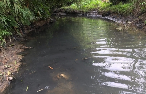 Vụ nước sinh hoạt có mùi lạ ở Hà Nội: Nước đã thực sự "sạch"?
