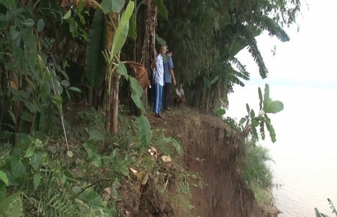 Phú Thọ: Liên tiếp xảy ra sạt lở bờ sông Thao