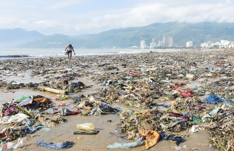 Bãi biển ngập rác sau bão số 5 ở Bình Định