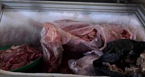 "Hô biến" thịt heo thối thành... thịt bò: Người tiêu dùng thiệt hại kép
