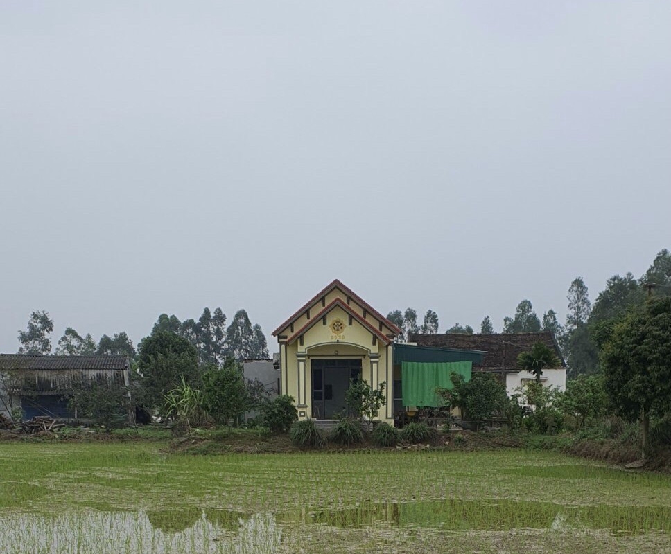 Xã Phong Lộc (Hậu Lộc, Thanh Hóa): Nhà khang trang, kiên cố 'mọc' trên đất nông nghiệp