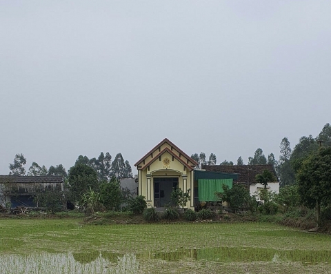 Xã Phong Lộc (Hậu Lộc, Thanh Hóa): Nhà khang trang, kiên cố 'mọc' trên đất nông nghiệp
