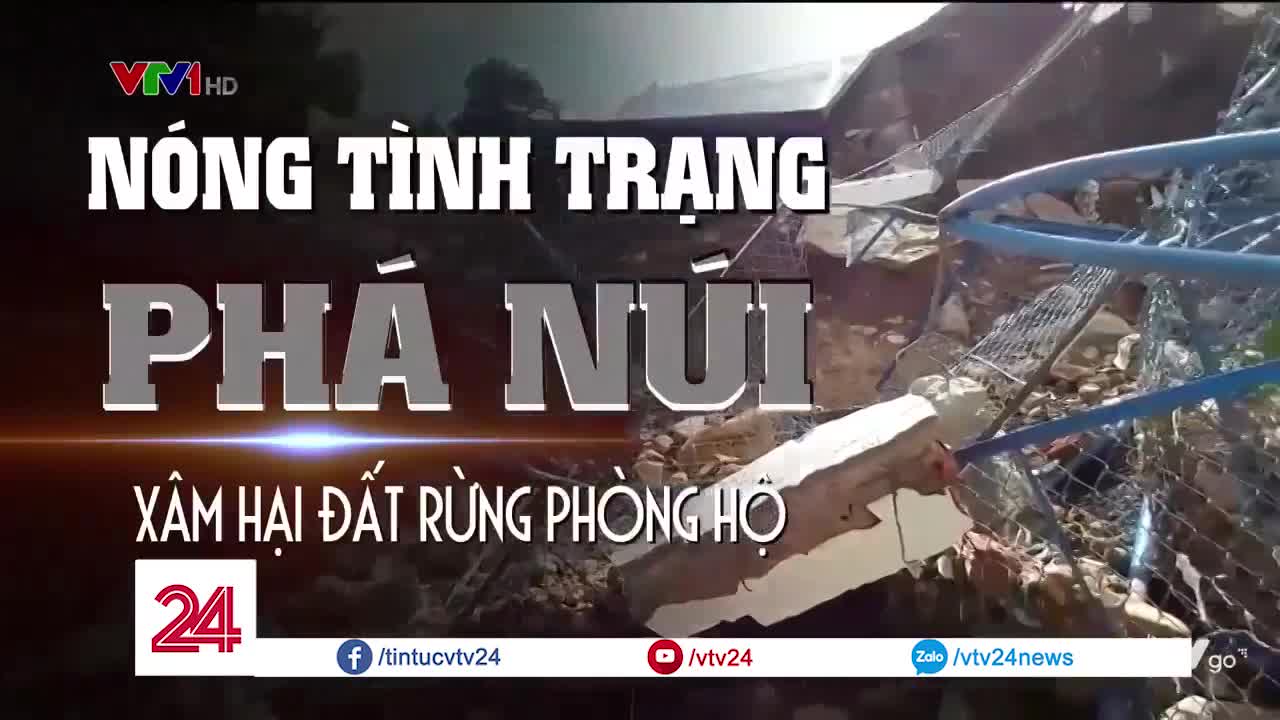 https://congnghiepmoitruong.vn/stores/video_data/anhhn/082019/07/11/Nong_tinh_trYng_pha_nui_xam_hYi_YYt_rYng_phong_hY_-_VTV24_31.jpg