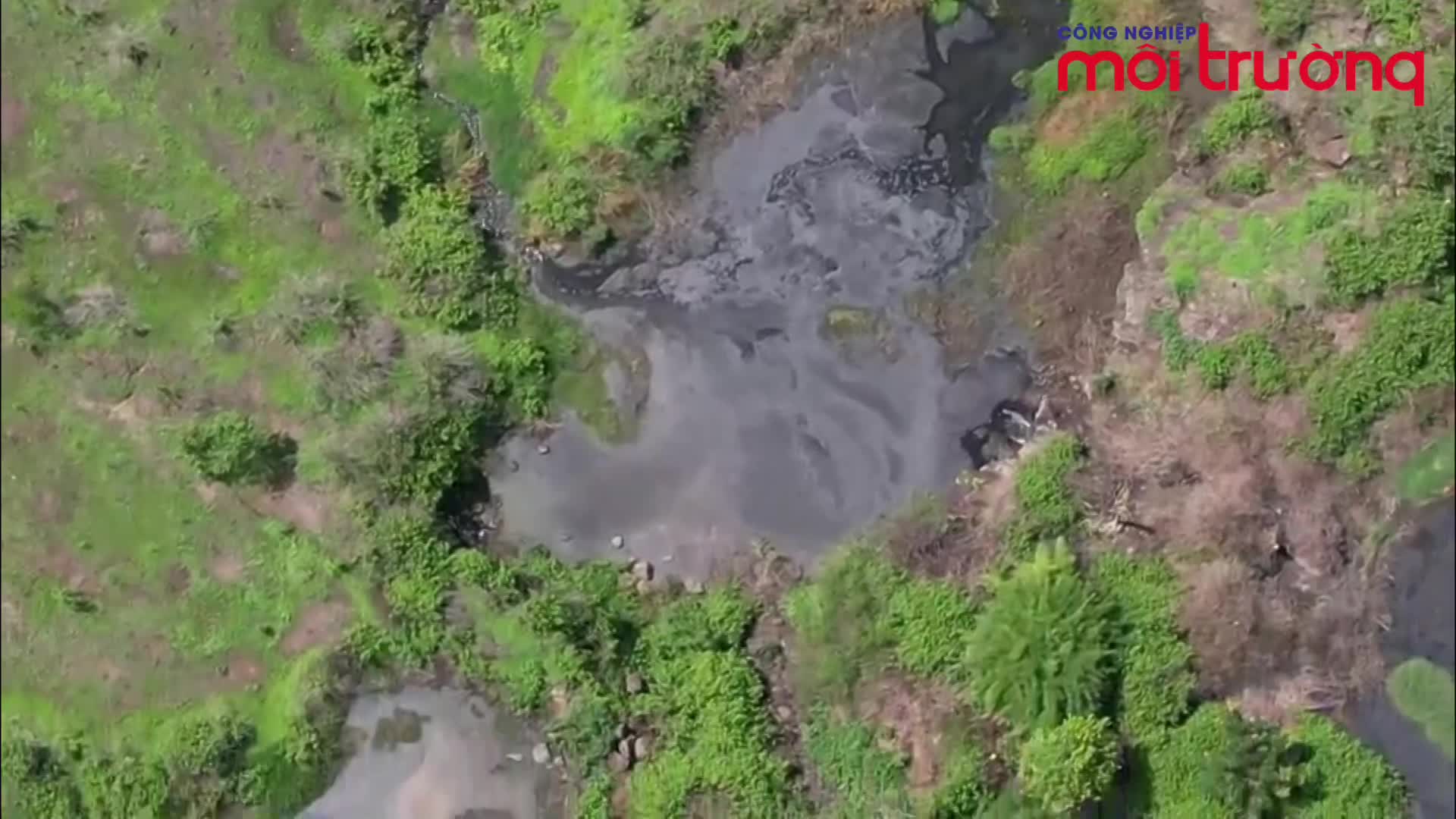 Buôn Ma Thuột (Đắk Lắk): Ô nhiễm môi trường từ trang trại heo tại xã Cư Ê Bur